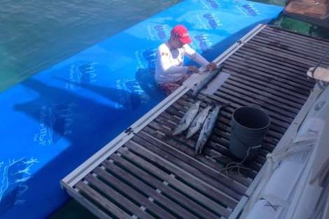 Review img # 23 of the yacht BAGHEERA L620