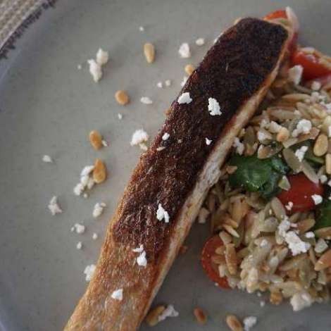 Food onboard CATALYST # 4