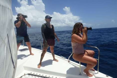 Review img # 67 of the yacht Groovy