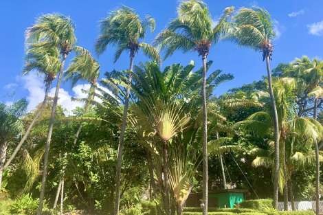 Review img # 63 of the yacht ISOLABLUE