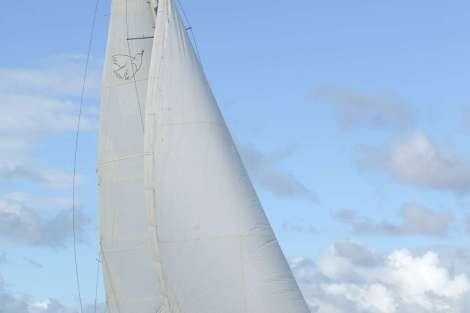 Review img # 1 of the yacht THE DOVE