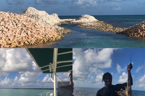 Review img # 3 of the yacht TWIN FLAME 77